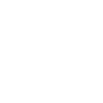 Bitin logo